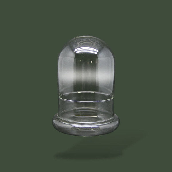 Terrarium dôme en verre pour plante – L’Atelier Terrator