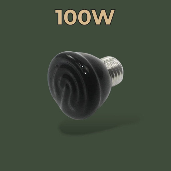 Ampoule céramique chauffante 100W pour reptile – L’Atelier Terrator