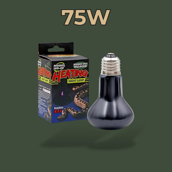 Ampoule céramique chauffante 75W pour reptile – L’Atelier Terrator