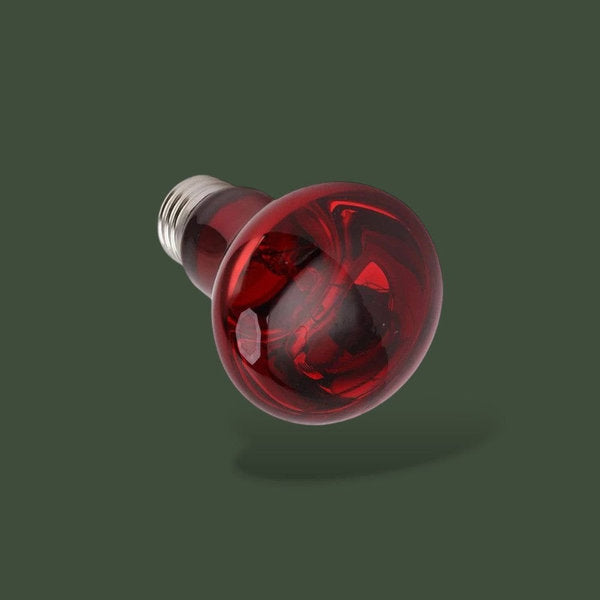 Lot de 3 lampes chauffantes infrarouge 100W – L’Atelier Terrator