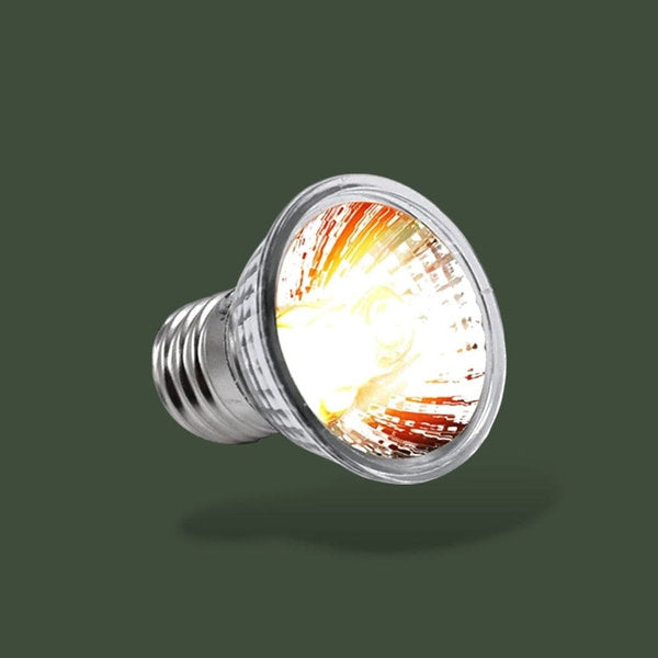 Lot de 2 lampes chauffantes 50W pour terrarium – L’Atelier Terrator