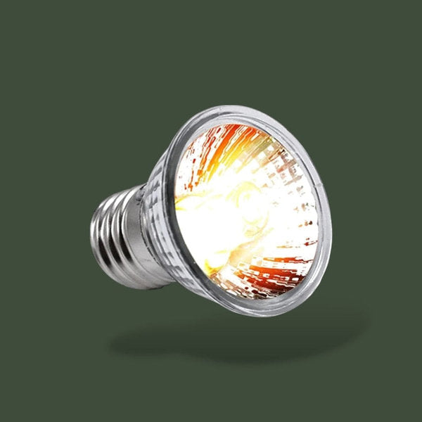 Lot de 2 lampes chauffantes 75W pour terrarium – L’Atelier Terrator