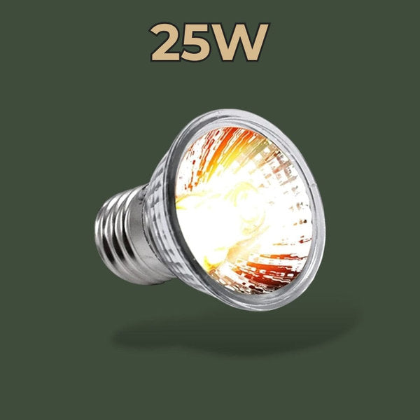 Lampe chauffante et UV 25W pour terrarium – L’Atelier Terrator