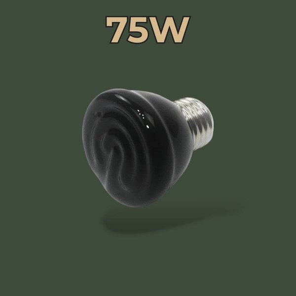 Lampe céramique chauffante 75W pour terrarium – L’Atelier Terrator