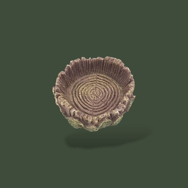 Bol d'eau effet bois pour terrarium – L’Atelier Terrator