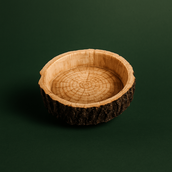 Petit bol pour tortues effet tronc – L’Atelier Terrator