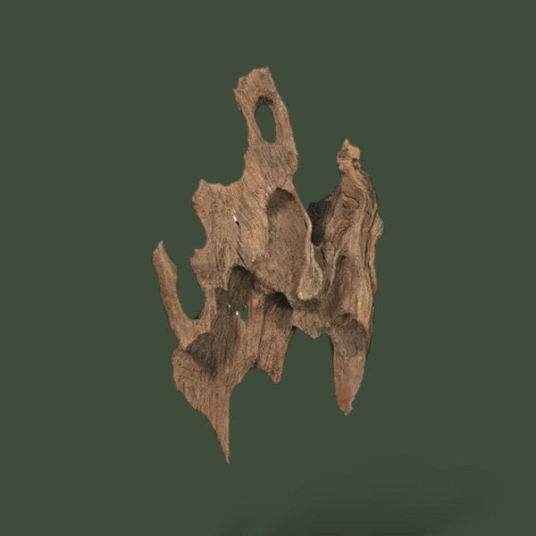 Lot de 5 petits morceaux de bois flotté naturel – L’Atelier Terrator