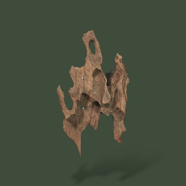 Lot de 2 petit bout de bois flotté pour terrarium – L’Atelier Terrator