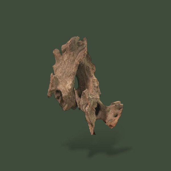 Lot 10 petit morceaux de bois flotté – L’Atelier Terrator