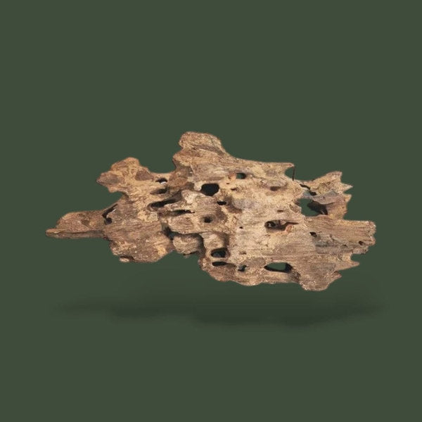 Mix de 3 morceaux de bois flotté variées – L’Atelier Terrator