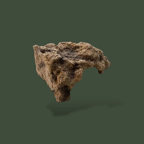 Demi tronc décoratif pour terrarium – L’Atelier Terrator