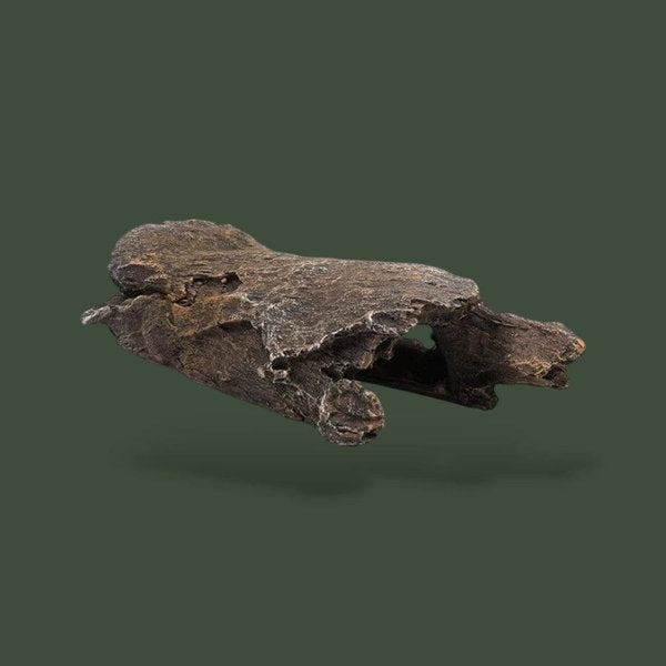 Cachette en forme de demi tronc pour reptile – L’Atelier Terrator