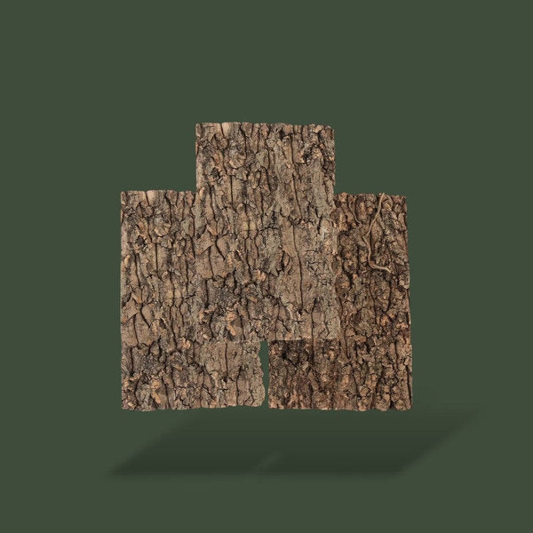 Morceaux de bois naturel pour terrarium – L’Atelier Terrator