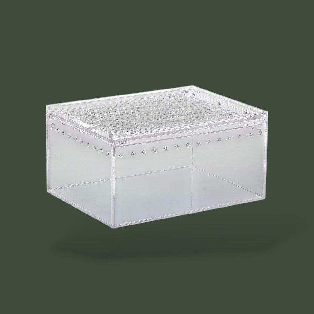 Boite avec aération en acrylique pour reptile – L’Atelier Terrator