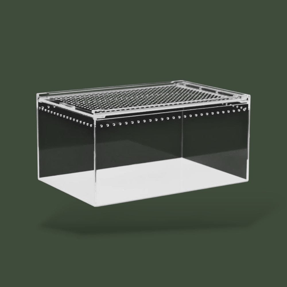 Boite en acrylique pour terrarium a reptiles – L’Atelier Terrator