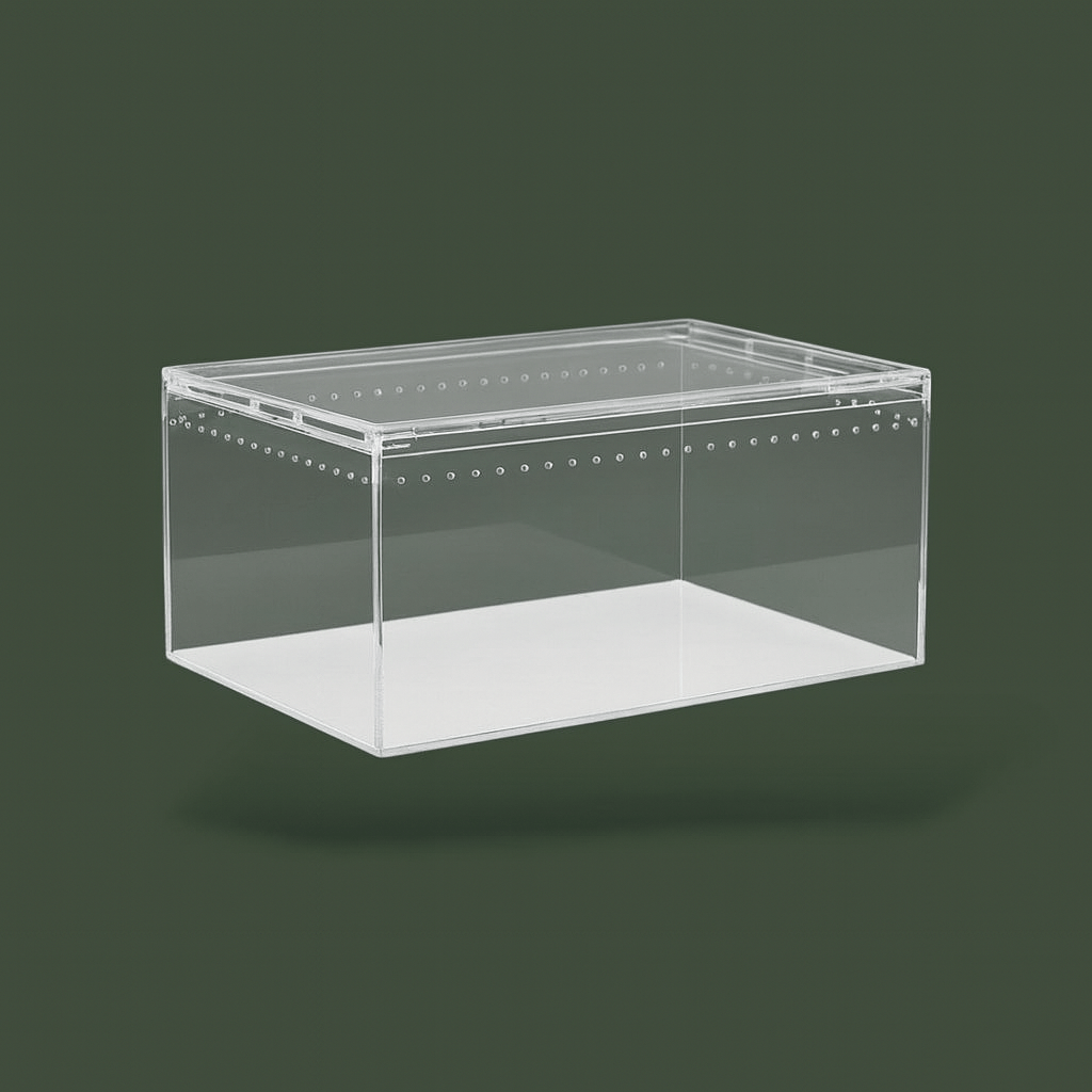 Terrarium a araignée – L’Atelier Terrator