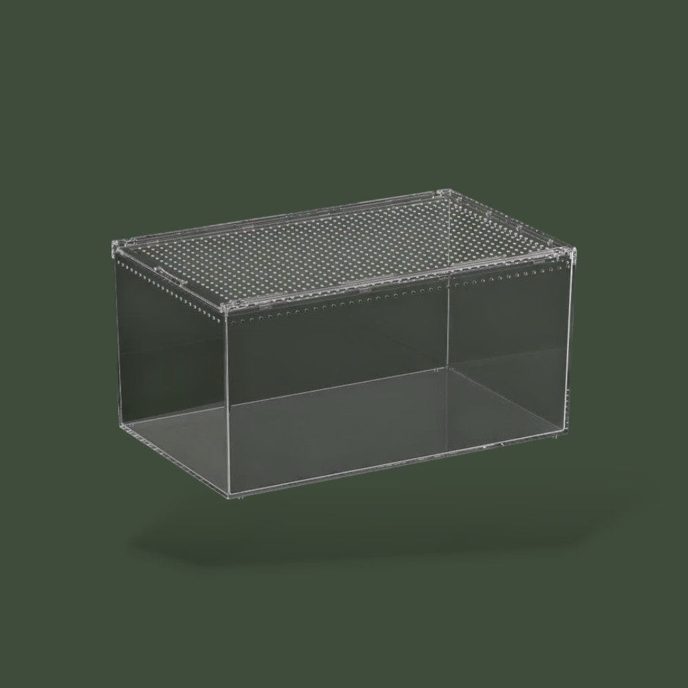 Grande boite ventilée en acrylique pour reptile – L’Atelier Terrator
