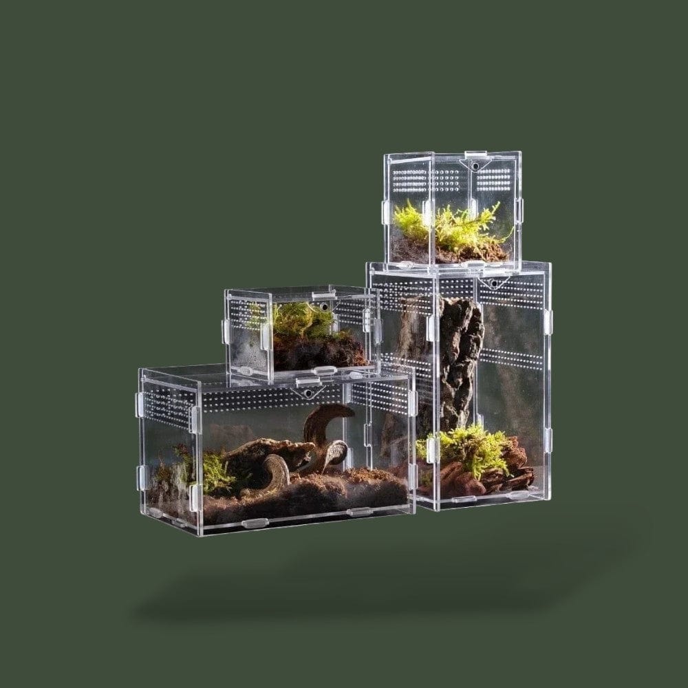 Terrarium ventilée pour petit serpent – L’Atelier Terrator