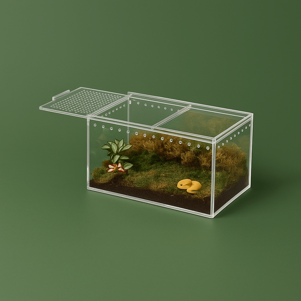 Terrarium a araignée – L’Atelier Terrator