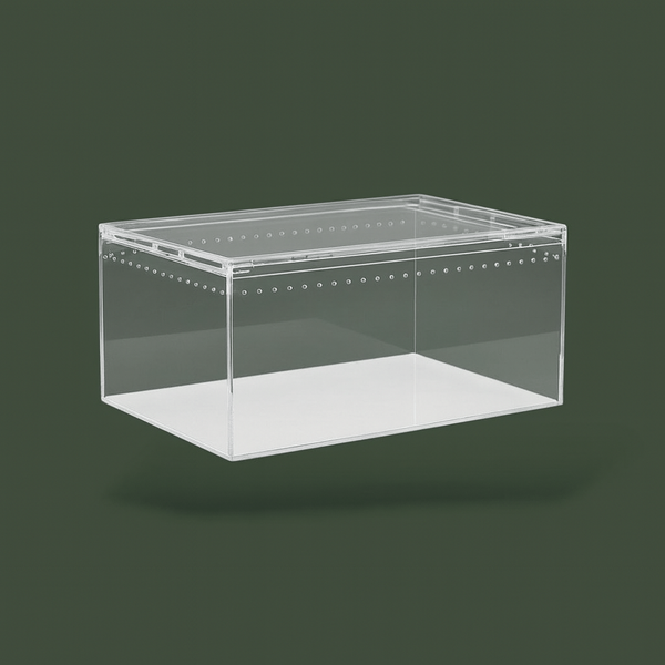 Terrarium a araignée – L’Atelier Terrator