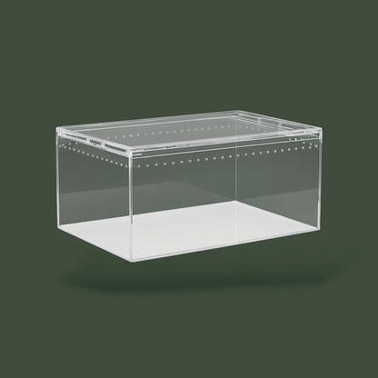 Terrarium a araignée – L’Atelier Terrator