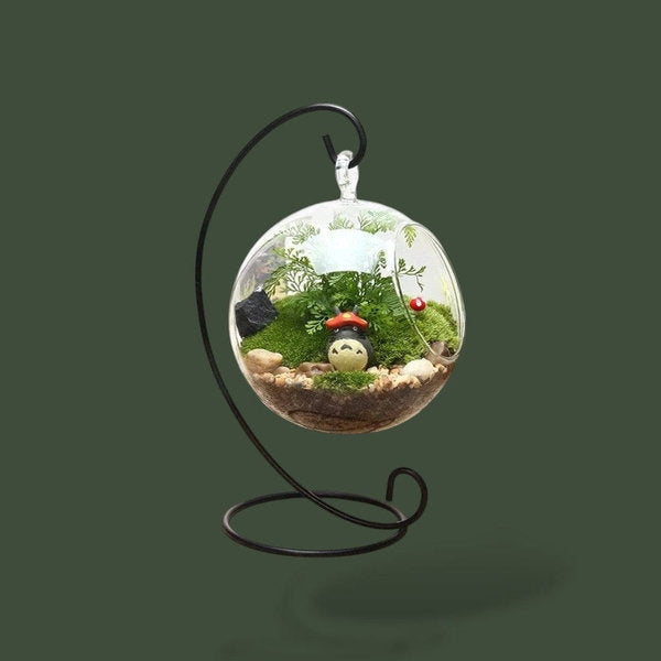 Terrarium en verre suspendu pour plantes d’intérieur – L’Atelier Terrator