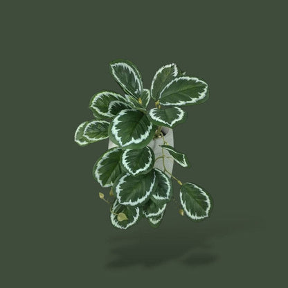 Fausse plante tropicale pour terrarium – L’Atelier Terrator