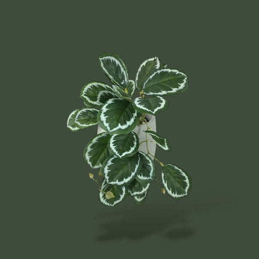 Fausse plante tropicale pour terrarium – L’Atelier Terrator