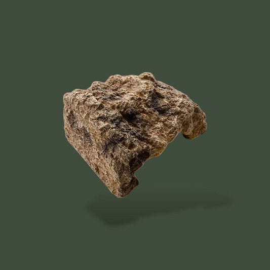 Demi tronc naturelle pour reptile – L’Atelier Terrator