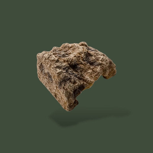 Petit demi-tronc en bois pour tortue – L’Atelier Terrator