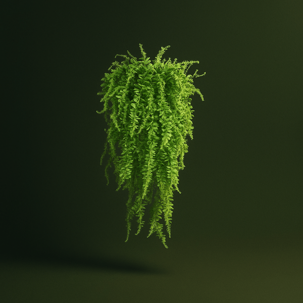 Pack de 3 plantes artificielles pour terrarium – L’Atelier Terrator