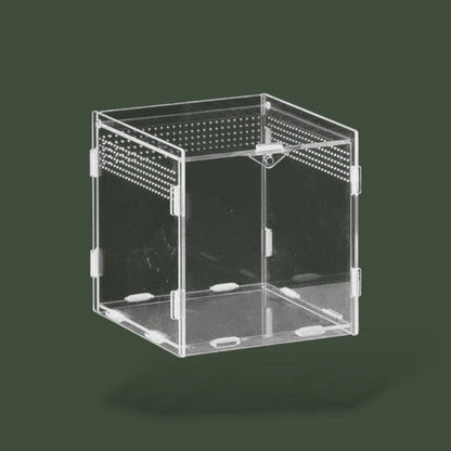 Petit terrarium ventilée en acrylique pour tortue terrestre – L’Atelier Terrator