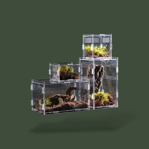 Habitat ventilée pour tortue terrestre – L’Atelier Terrator