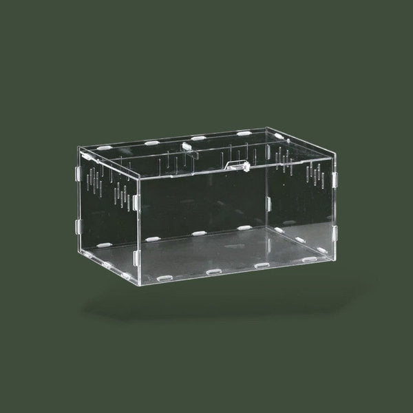 Grand terrarium ventilée en acrylique – L’Atelier Terrator