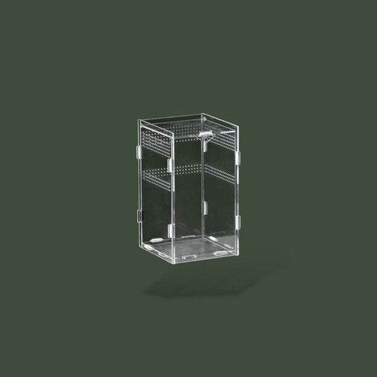 Habitat ventilée en acrylique pour reptile – L’Atelier Terrator
