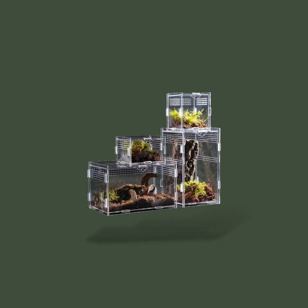 Habitat ventilée en acrylique pour reptile – L’Atelier Terrator