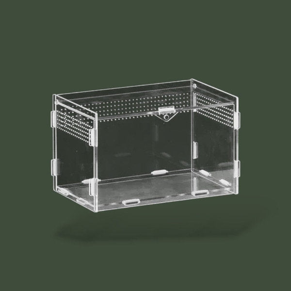 Terrarium en acrylique ventilée pour reptile – L’Atelier Terrator