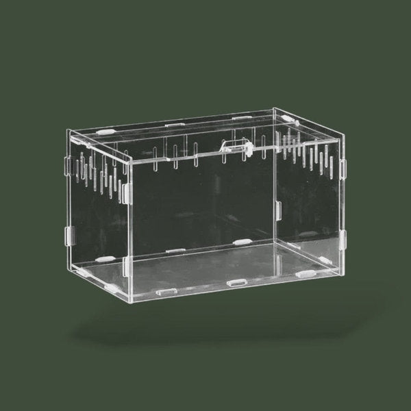 Enclos ventilée en acrylique pour reptile – L’Atelier Terrator