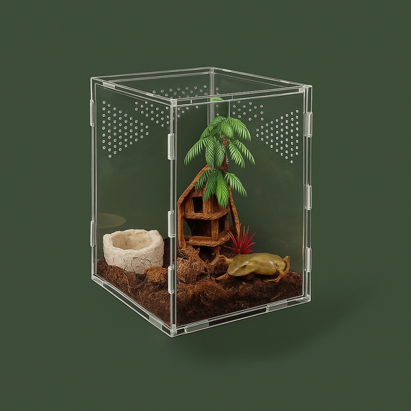 Boite ventilée en acrylique pour araignée – L’Atelier Terrator