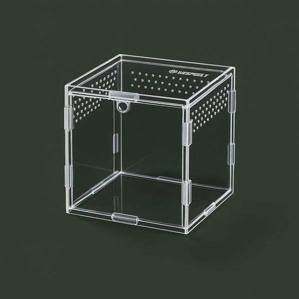 Boite ventilée en acrylique pour araignée – L’Atelier Terrator