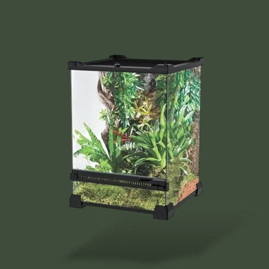 Terrarium en verre transparent pour reptile – L’Atelier Terrator
