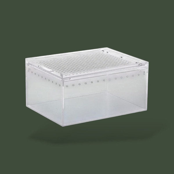Boite avec aération en acrylique pour reptile – L’Atelier Terrator