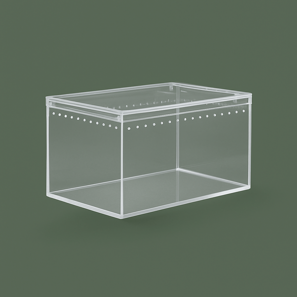 Petite boite ventilée en acrylique – L’Atelier Terrator