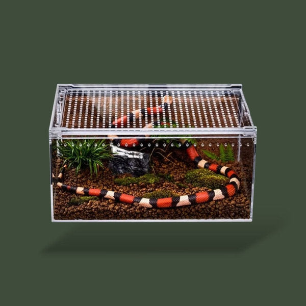 Boite en acrylique pour terrarium a reptiles – L’Atelier Terrator