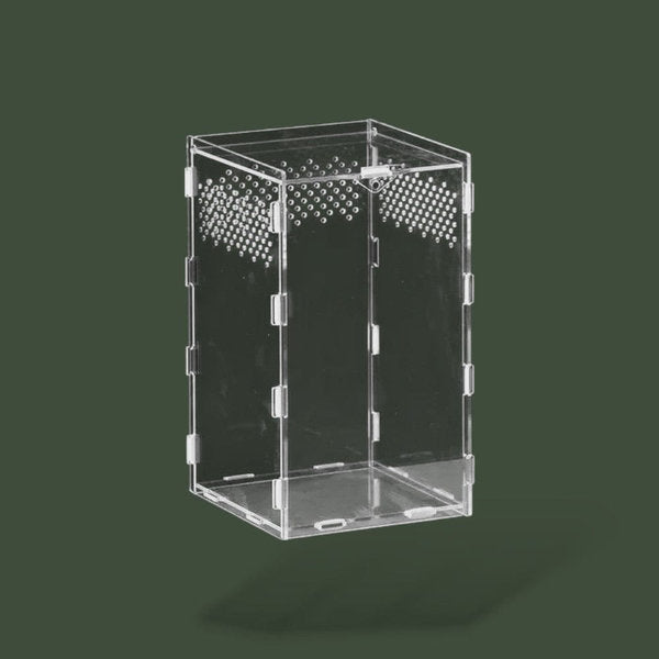Boite vertical ventilée en acrylique pour reptile – L’Atelier Terrator