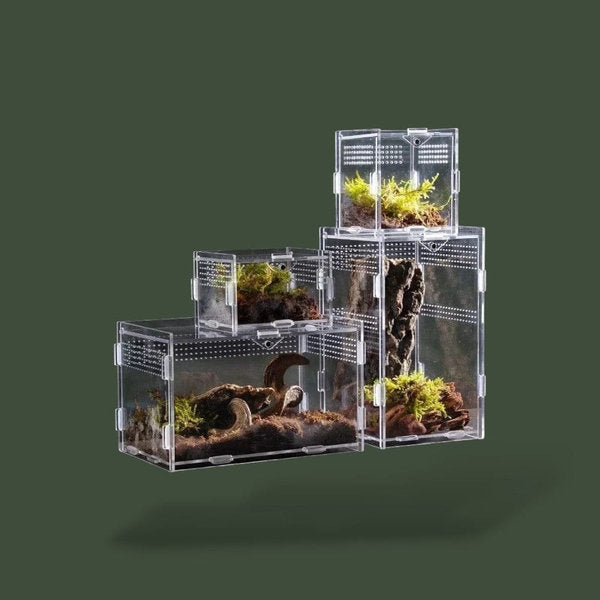 Boite vertical ventilée en acrylique pour reptile – L’Atelier Terrator