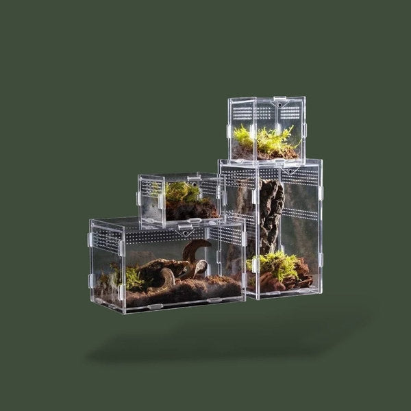 Boite en acrylique vertical pour reptile – L’Atelier Terrator