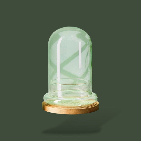 Terrarium en dôme pour plante – L’Atelier Terrator