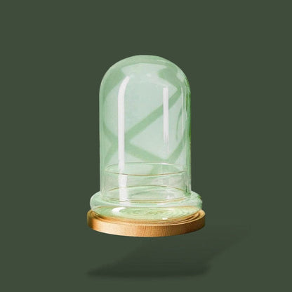 Terrarium en dôme pour plante – L’Atelier Terrator