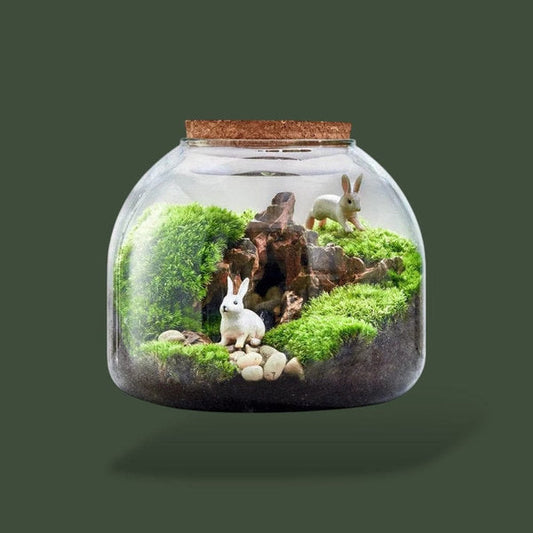 Petit bocal en verre pour terrarium – L’Atelier Terrator